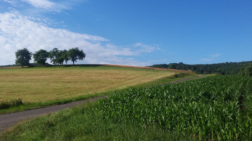 Landgasthof Zur Untermuehle Datterode Bagian luar foto