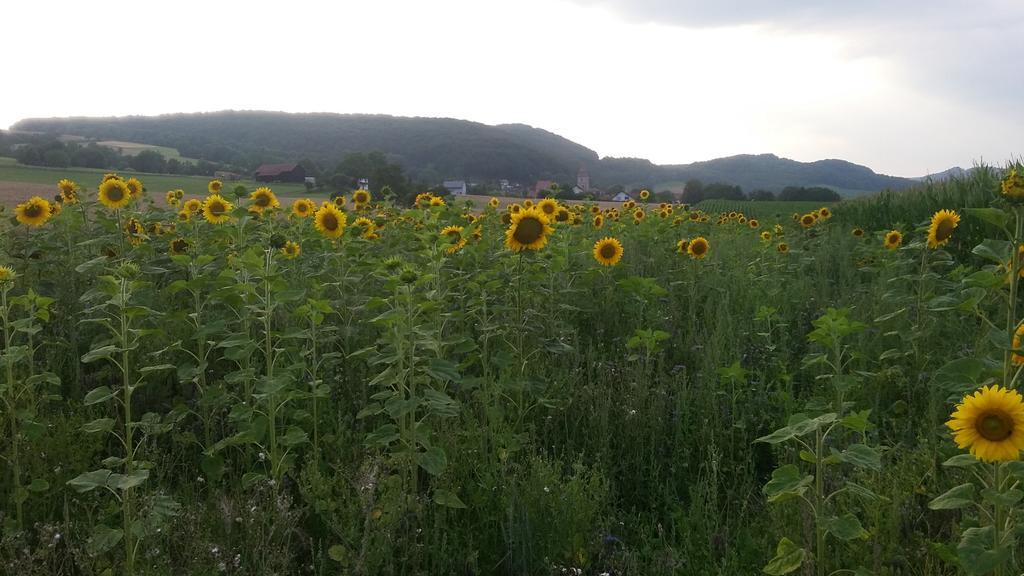 Landgasthof Zur Untermuehle Datterode Bagian luar foto