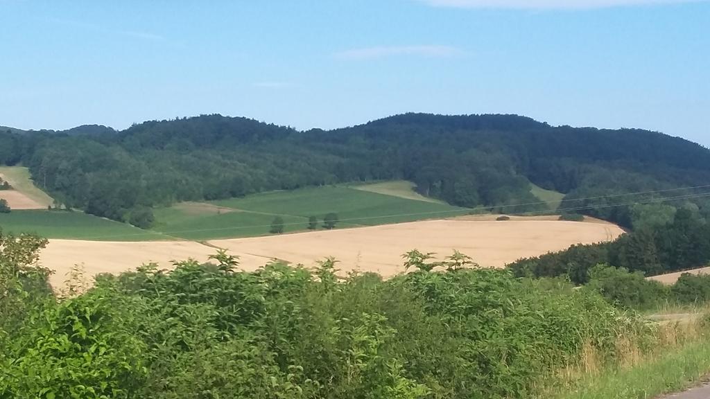 Landgasthof Zur Untermuehle Datterode Bagian luar foto