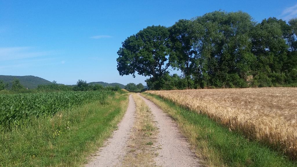 Landgasthof Zur Untermuehle Datterode Bagian luar foto